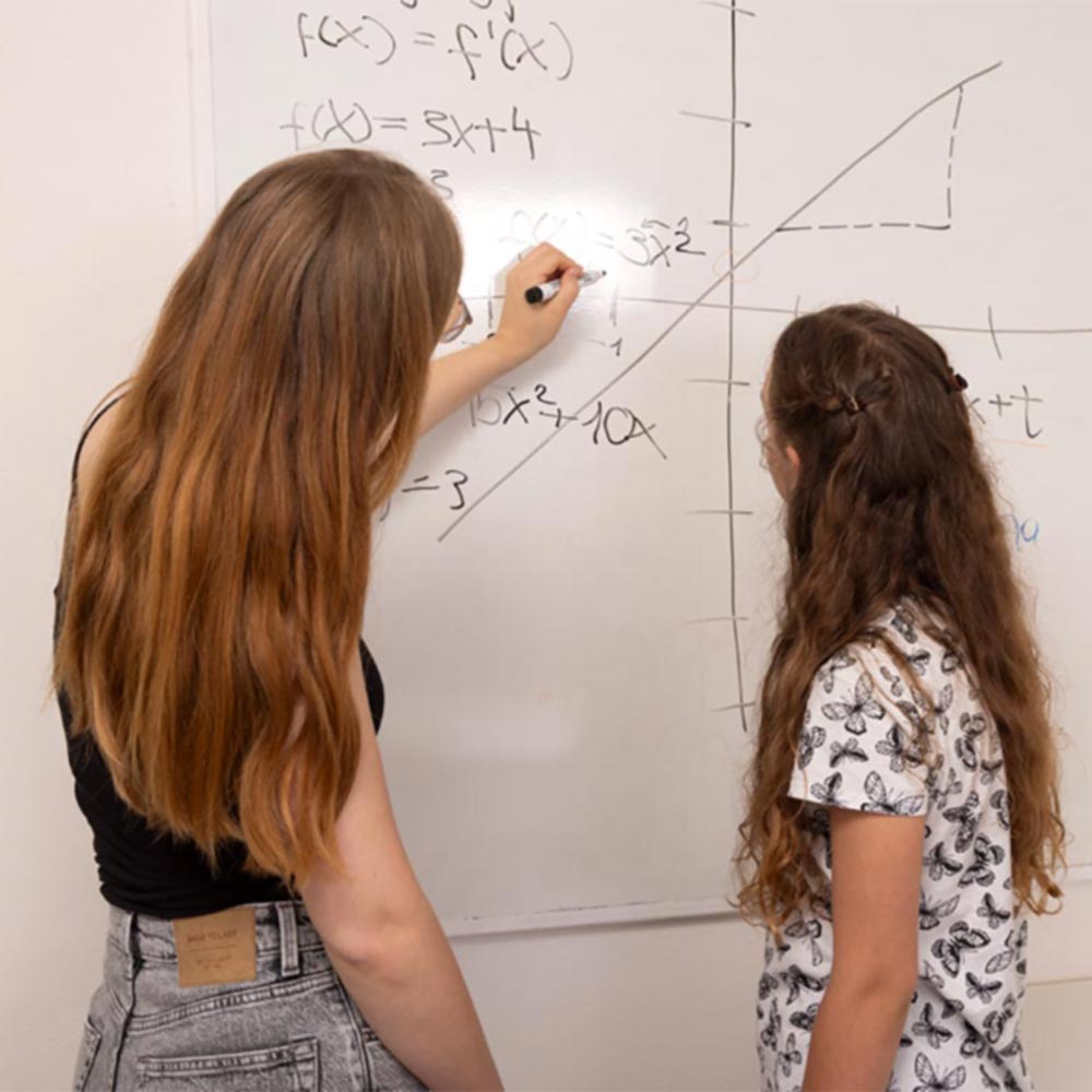 Nachhilfelehrerin erklärt mathematische Formeln an einer Tafel.